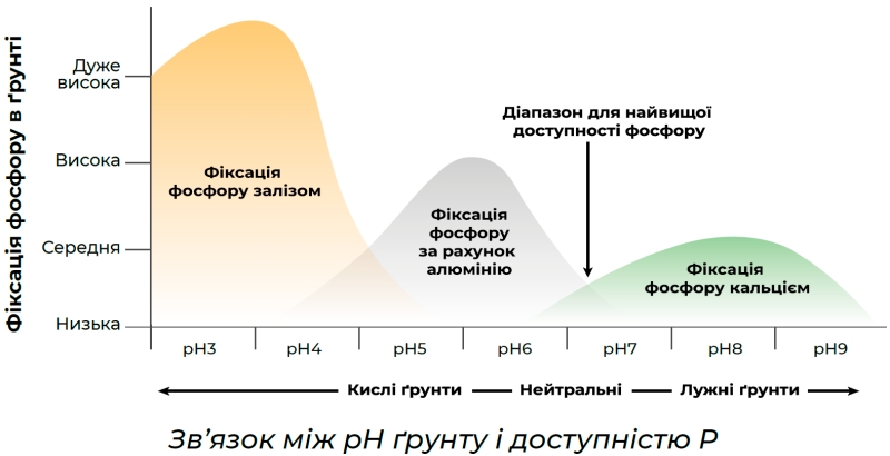 Технологія захисту фосфору Технологія захисту фосфору